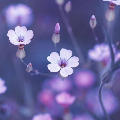 من اگه داشته باشم تو رو کودتاس فک کنم کل جهان واسه ما دوتاس